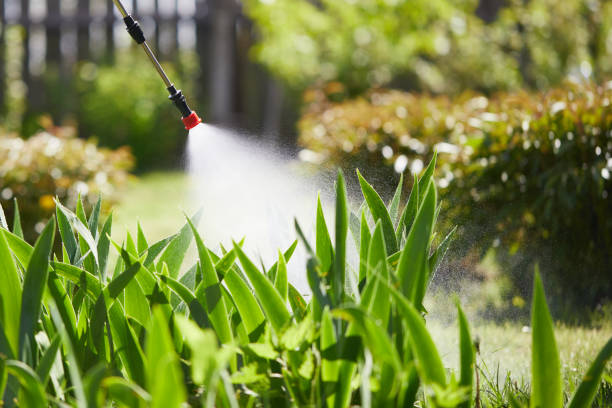 24/7 Emergency Mosquito Control experts in Chackbay, LA