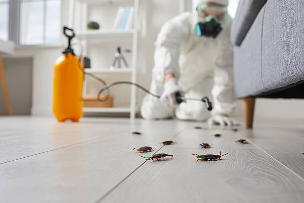 Trusted Cockroach Control service in Chackbay, LA - Nex Pest Control