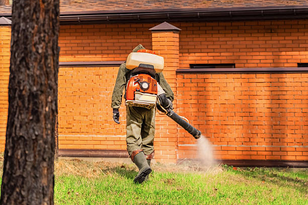 Trusted Mosquito Control service in Chackbay, LA - Nex Pest Control